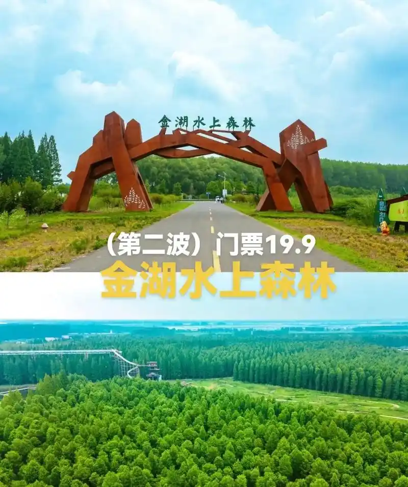 金湖水上森林景区风景美如画一个放松心情的和去处.