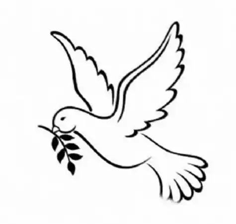 和平鸽的简笔画图片大全 和平鸽的简笔画图片大全彩色