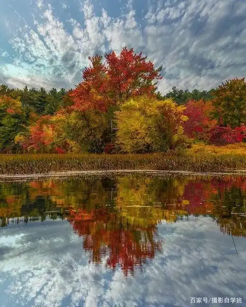 拍秋景避开这7个错秋天摄影照片美起来
