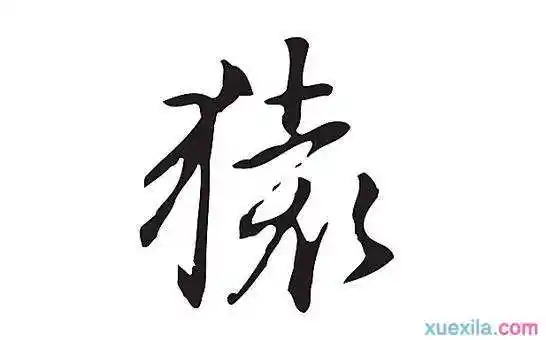 相关话题 猿是哺乳动物,外形像猴而大,有的特征跟人类相似,你知道哪些