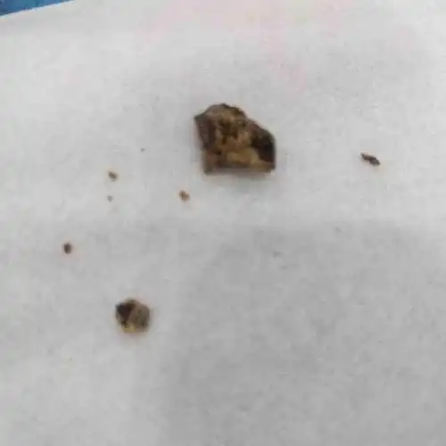 "-大众点评移动版