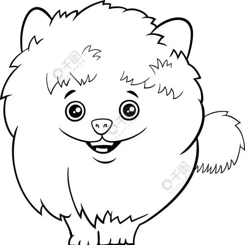 黑白卡通画可爱的纯种博美犬小狗或狗着色书页