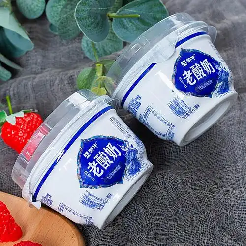 蒙牛老酸奶140g杯装牛奶单杯原味发酵乳凝固型老味道