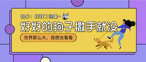 狗子撒手没:拜拜了您嘞