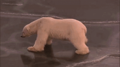 降温大风启东气温又跳水