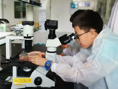 奇妙的科学探索之旅