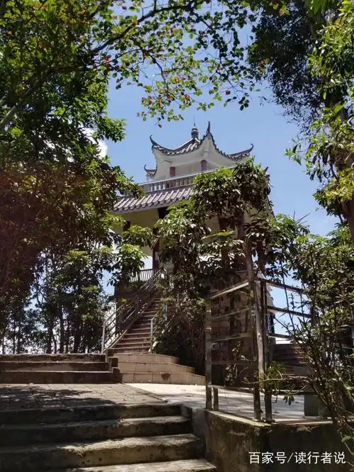 深圳大南山公园,一座被严重低估了的美景佳园