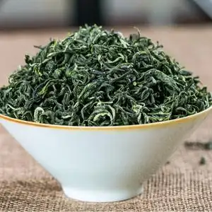 新茶陇南茶叶阳坝毛尖康县绿色特产绿茶特级毛尖简装500g包邮