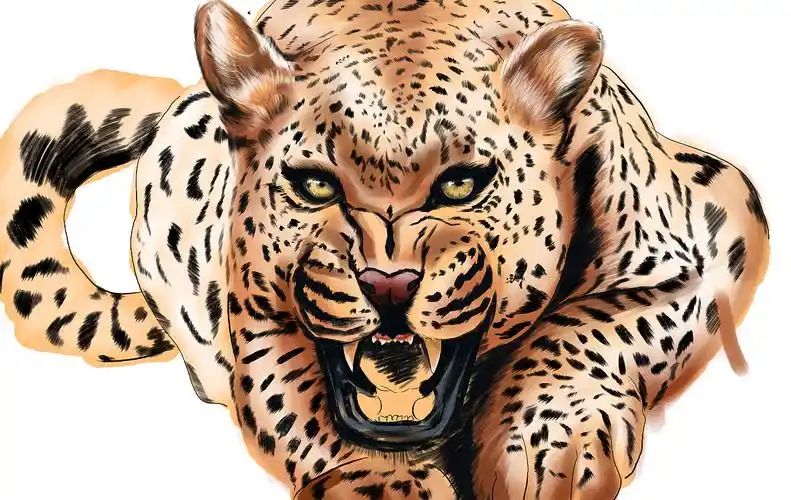 绘画豹子|插画|绘本|z53566239 - 原创作品 - 站酷 (zcool)