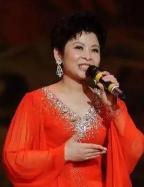 董文华红楼事件(董文华红楼事件是那年)