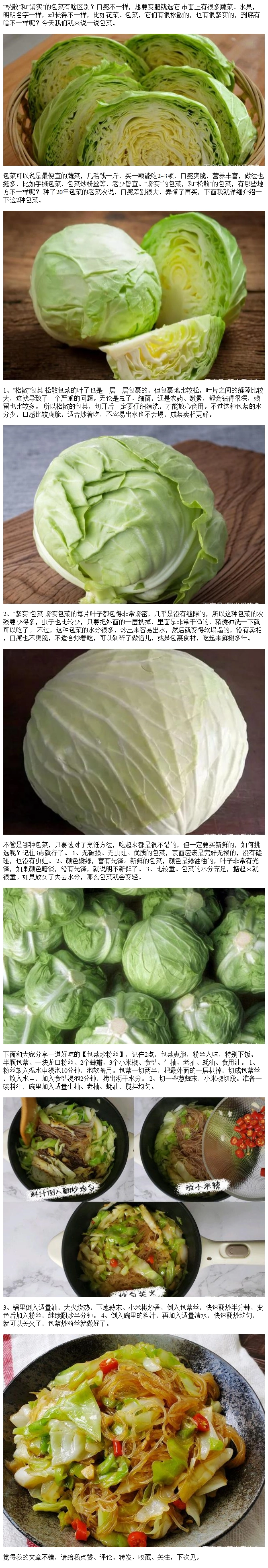 "松散"和"紧实"的包菜有啥区别?口感不一样,想要爽脆就选它