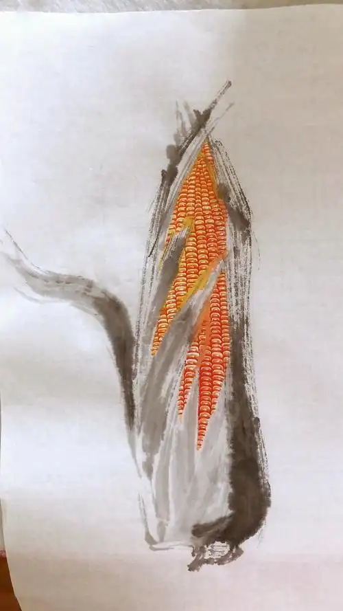 日常小练习 写意玉米 - 原创作品 - 站酷(zcool)