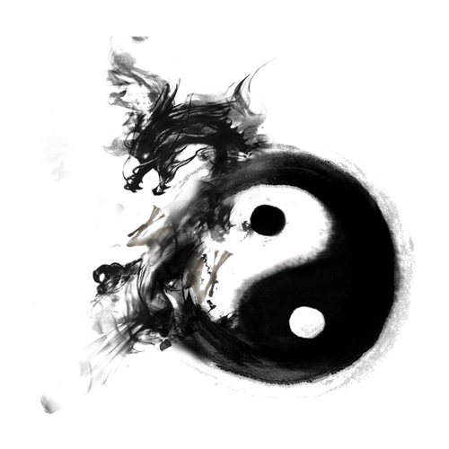 太极八卦图 太极图片 太极八卦 太极标志 太极 武术 太极logo 打太极