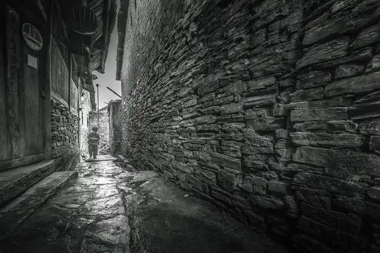 摄影作品选集(六)