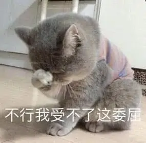 不行我受不了这委屈 - 一组委屈巴巴猫咪表情包_猫咪表情