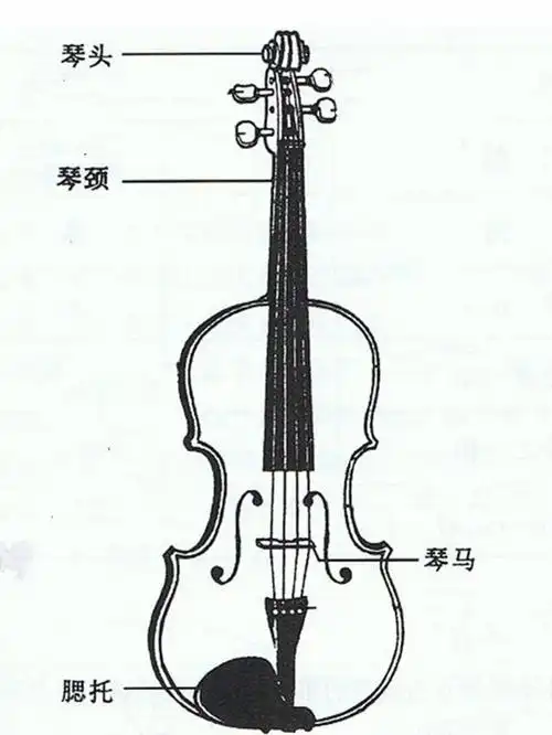 小提琴部件认知肩托安装