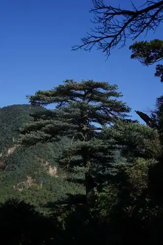 莽山地质公园鬼子寨将军石