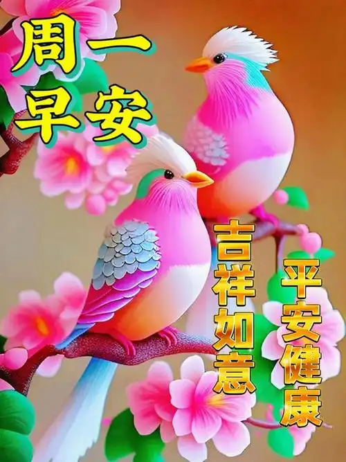 2023年11月13日星期一最新早安温暖问候图片大全