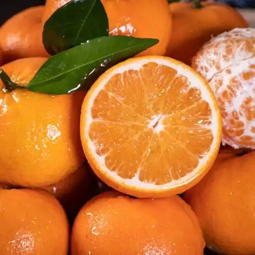 全国包邮果园现摘现发299元抢68元武鸣沃柑大果5斤装约2025个果肉柔软