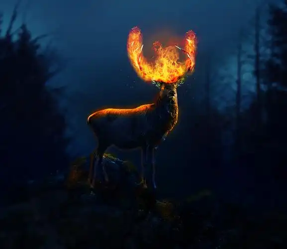 梦幻火焰鹿