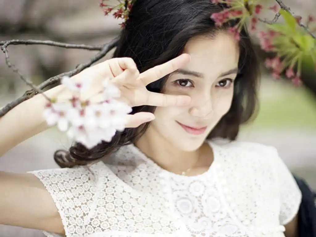 angelababy唯美樱花写真桌面壁纸一