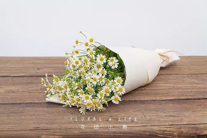 月亮礼物洋甘菊花束