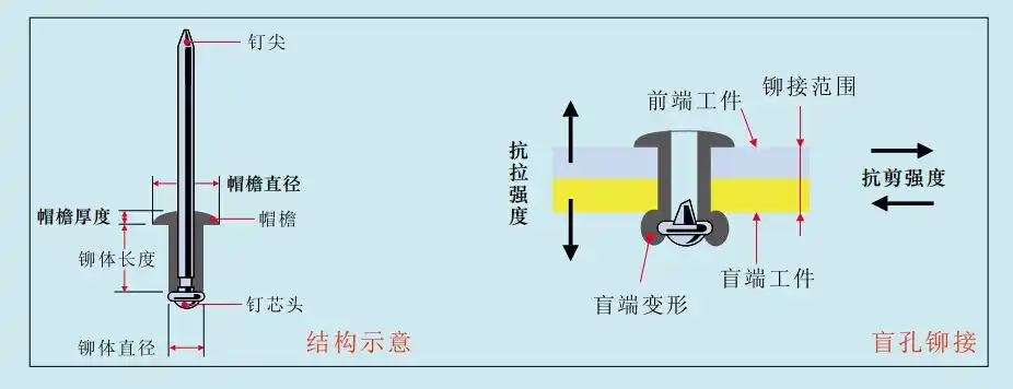 厂家现货 全不锈钢单鼓型抽芯铆钉半圆头单股拉铆钉3.2-4.8mmbb01