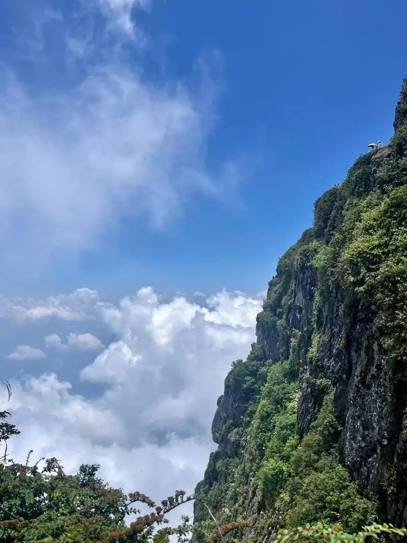 7215中国佛教四大名山之一——峨眉山 "云上金顶,天下峨眉"