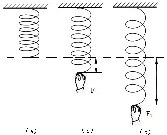 如图所示,将一根弹簧挂在天花板上,某人用方向相同的两个力作用于弹簧