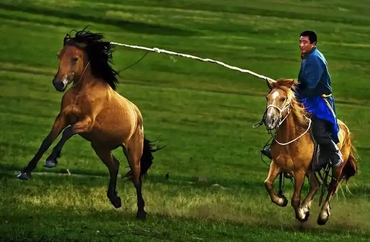 套马杆是什么意思