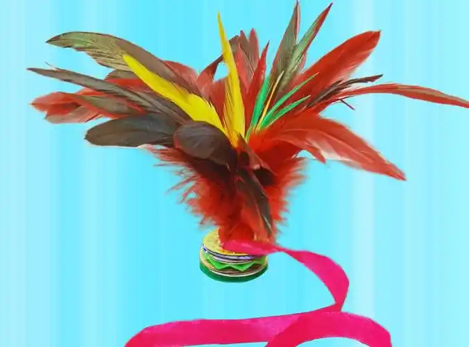 娂奾 毽子 鸡毛毽子儿童小学生幼儿园带绳子比赛毽球踢键子健身羽毛花