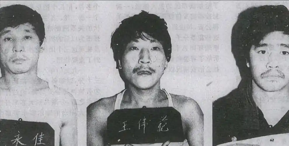 东北乔四指哪24位女明星分别是谁 - 百科全说