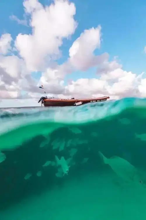 绝美神仙色松石绿太高级让你舍不得走