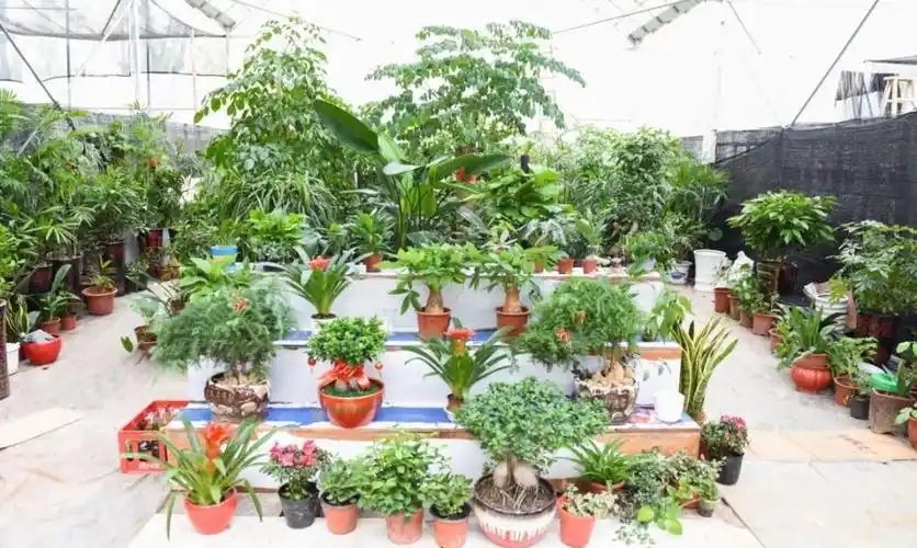 喜讯丨浦江农批市场花卉苗木市场盛大开放