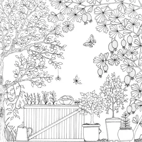 秘密花园第48页