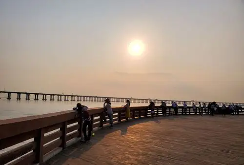 深圳西湾红树林公园-生态湿地公园之美!_高清图集_新浪网