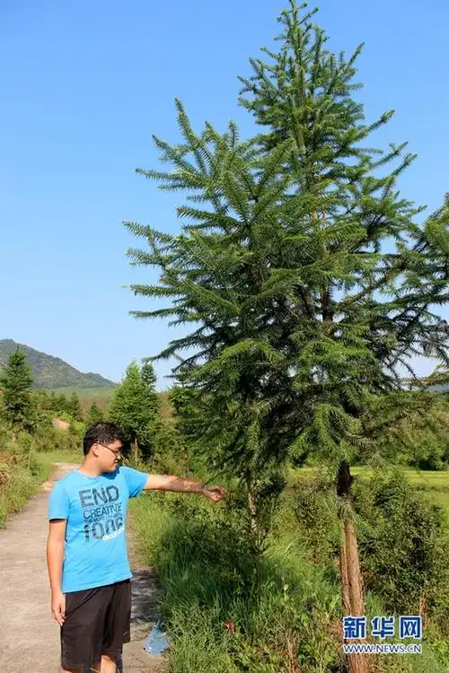 【网络媒体走转改】"父子兵"成为红土地上的"绿色守望者"_河北新闻网