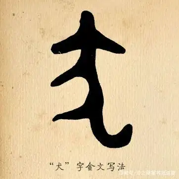 那我们就从这个"犬"字的演变过程开始这一课的寻"趣"之旅.