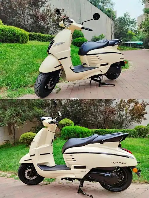 喜提姜戈海岸白