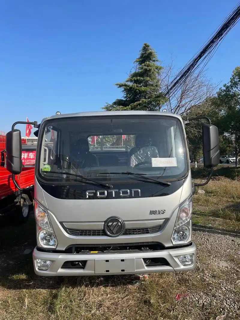 4米2蓝牌货车 福田奥铃青春无敌版#好车不贵经济实惠 - 抖音