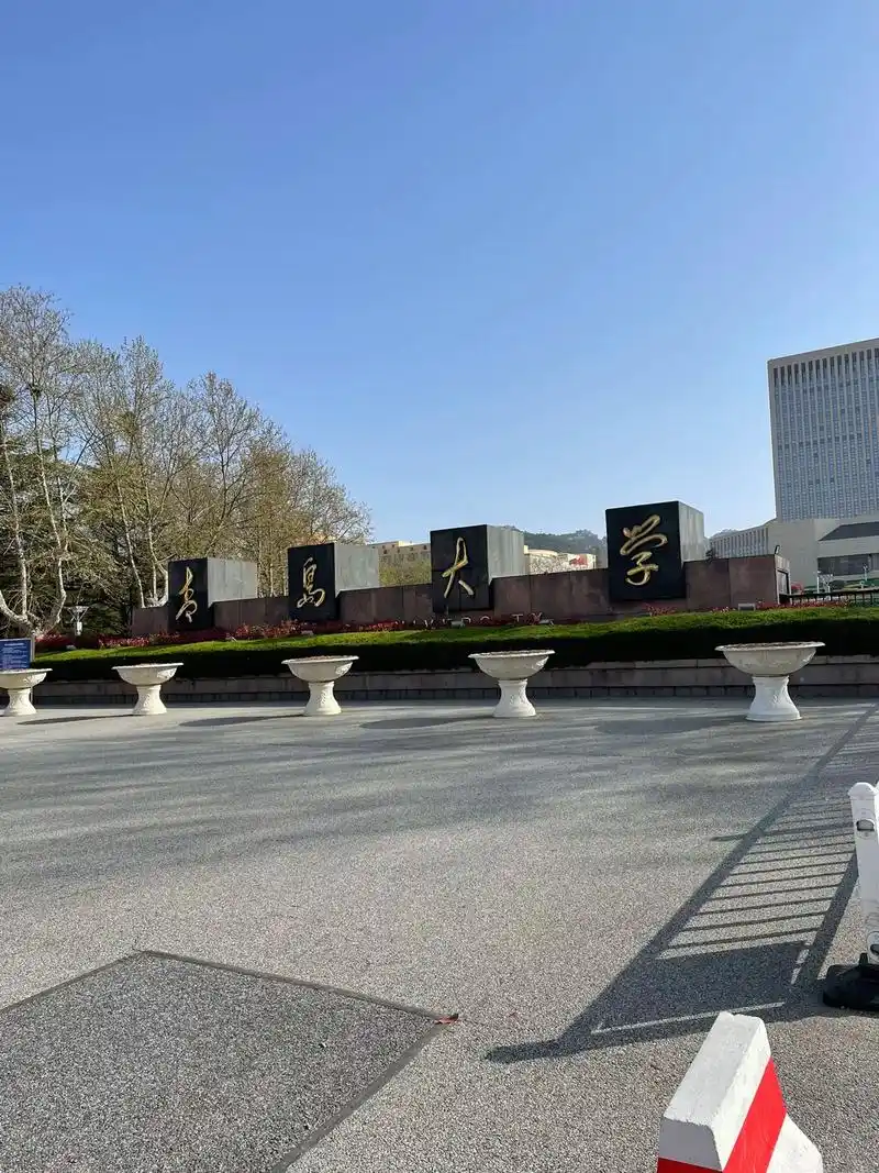 青岛大学#清晨的校园风光#校园随拍 画画草草 - 抖音