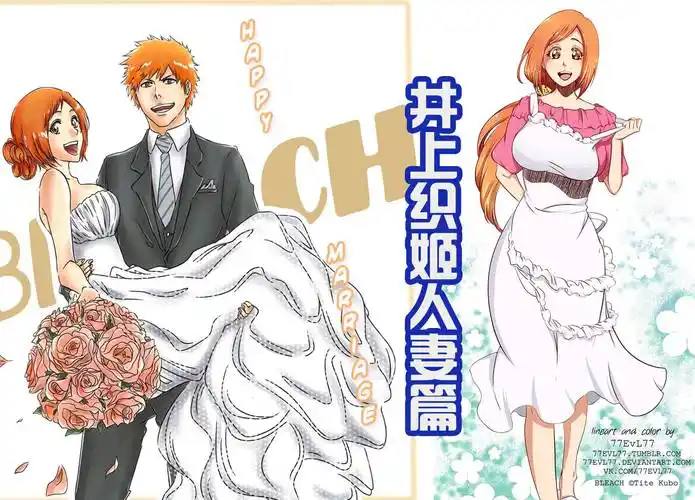 随后就来到了结婚后的井上织姬,这是和一护结婚后并且生下了儿子黑崎