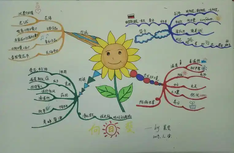 播种希望,收获成长--记思维导图学习