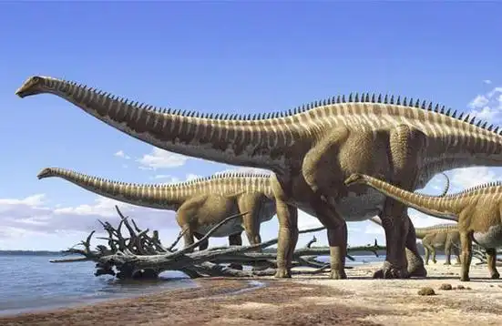 梁龙(diplodocus)是一种生活在侏罗纪晚期的巨型蜥脚类恐龙,属于梁龙