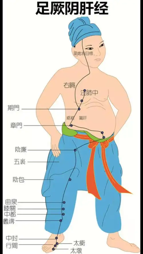 足厥阴肝经丑时