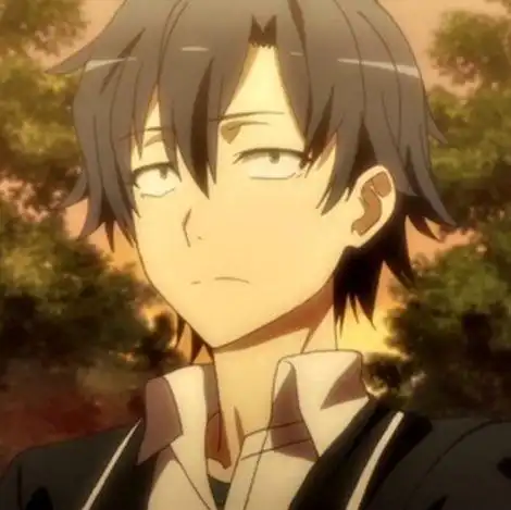 我的青春恋爱物语果然有问题比企谷八幡