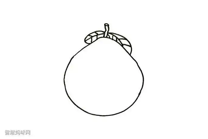 柚子的简笔画手抄报