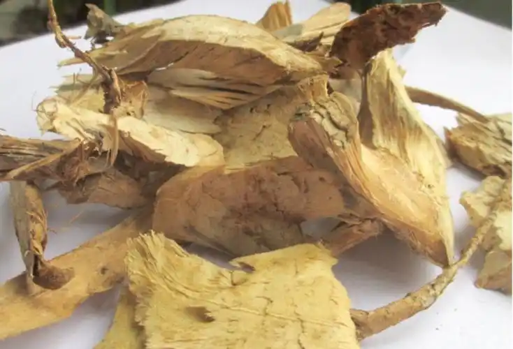 野生中药材水杨梅根 水杨柳纯根 杨梅根精选无硫药材 切好的干品