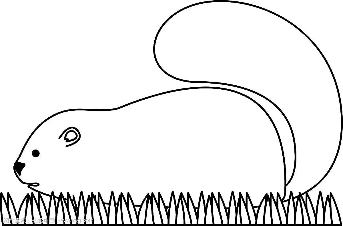 可爱的加拿大土拨鼠图标