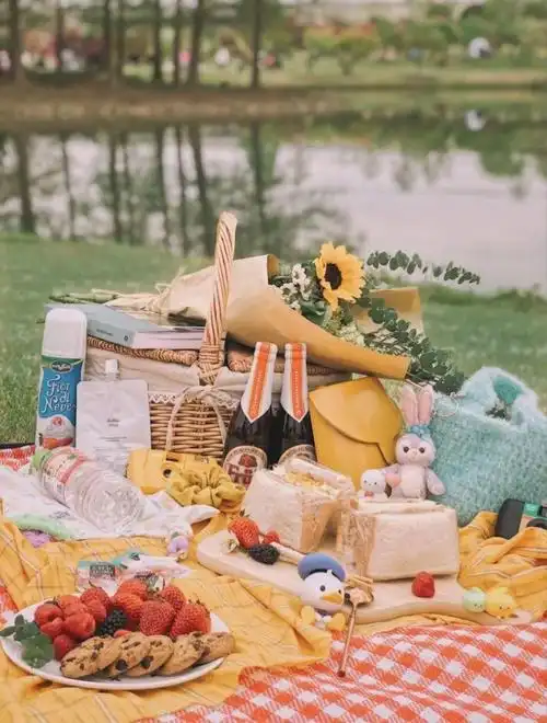 松江春日网红野餐攻略我去野过我先说